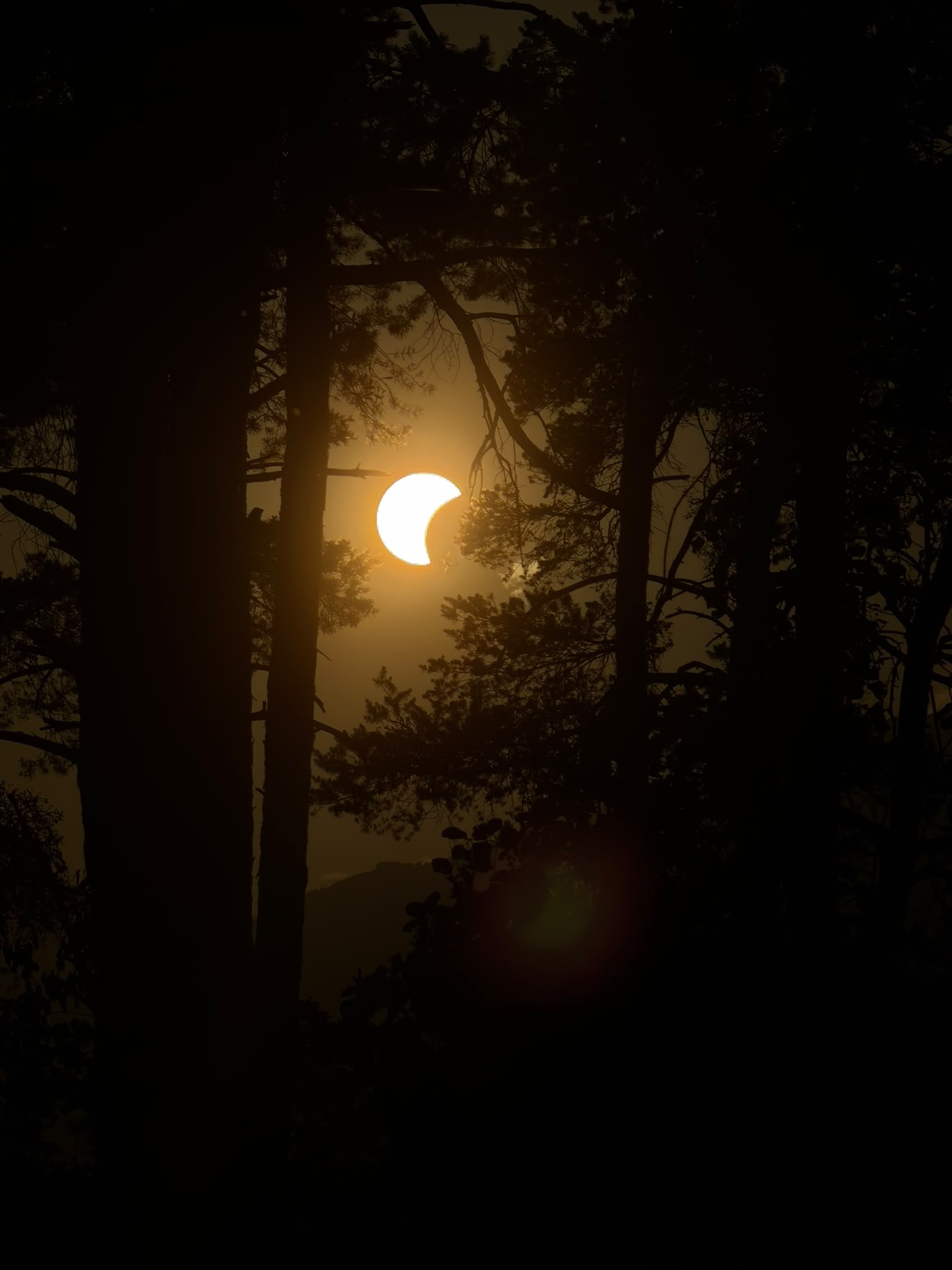 Bijzondere zonsverduistering te zien vanuit Nijkerk en Zwitserland