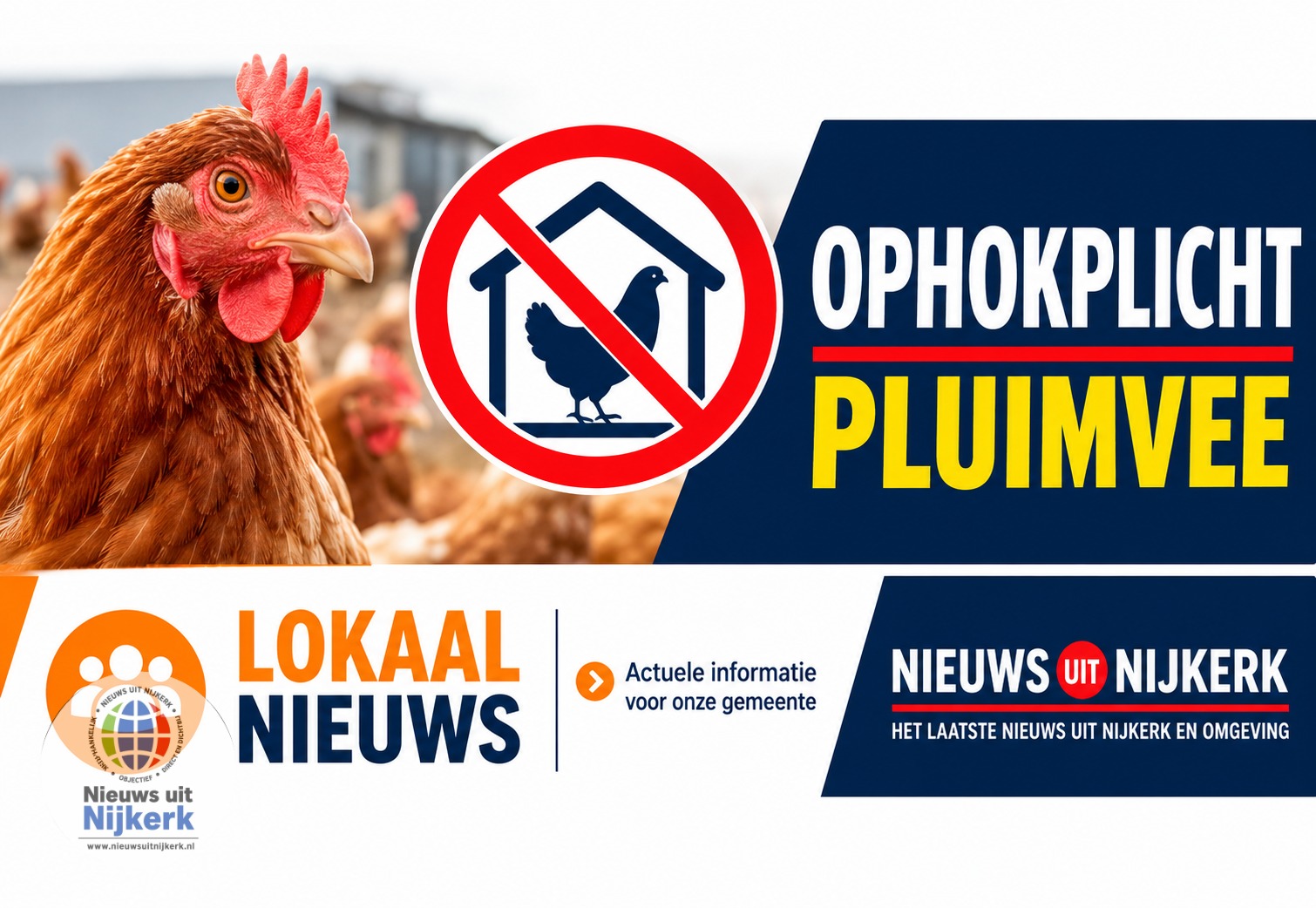 Landelijke ophok- en afschermplicht na drie uitbraken van vogelgriep gaat per direct in geld ook voor Nijkerk en omstreken