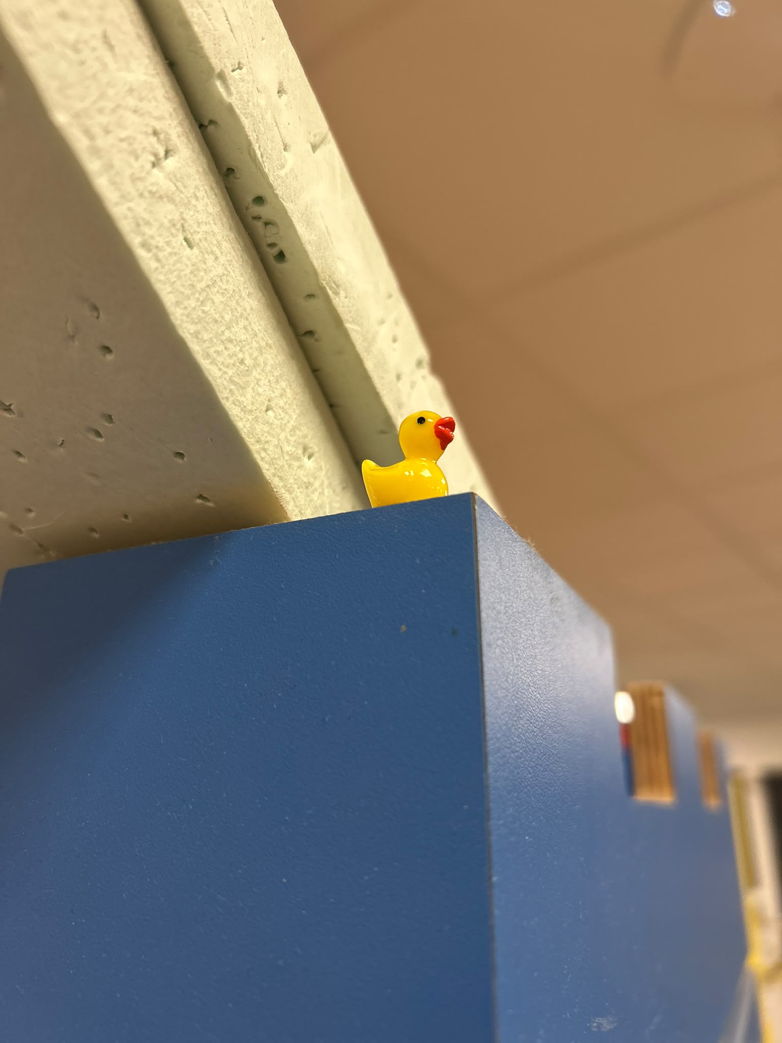 11635.jpg