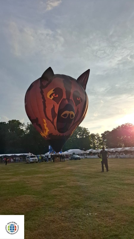 19082.jpg