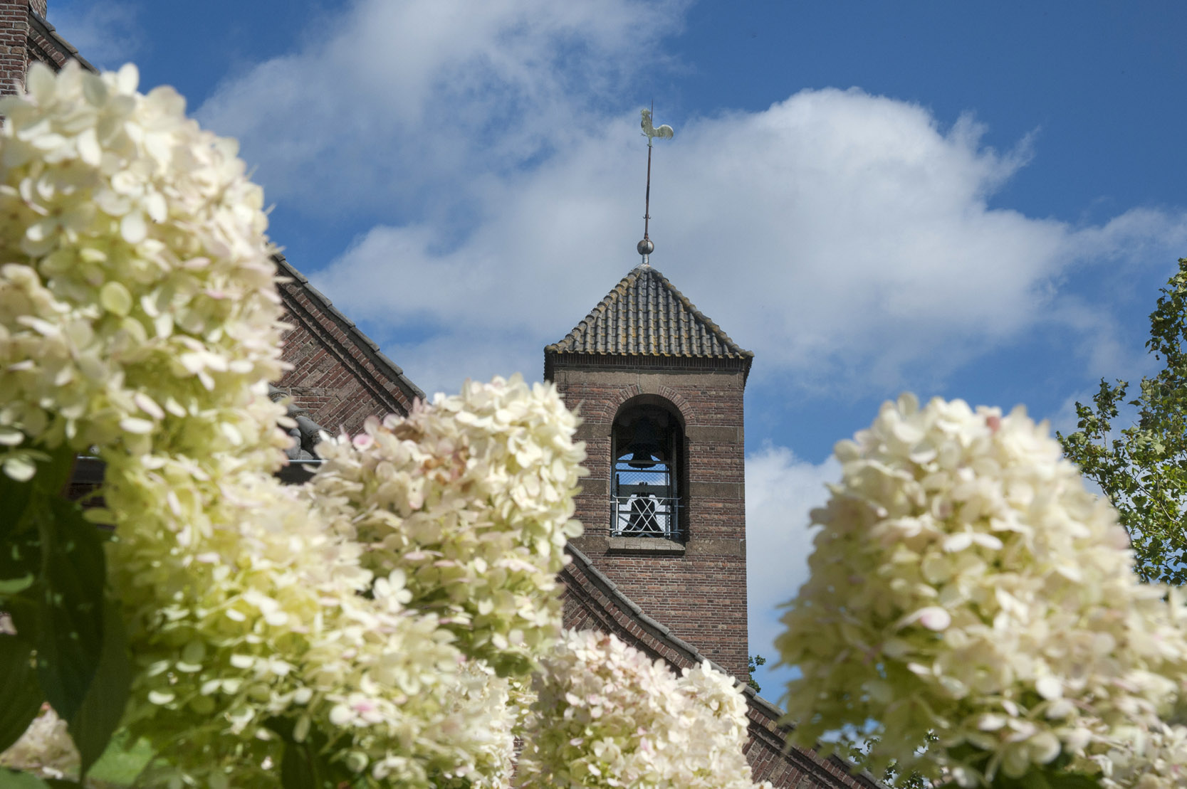 Gemeente wil meewerken aan bouwplan Vredeskerk in Nijkerk